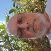 John Ogle
