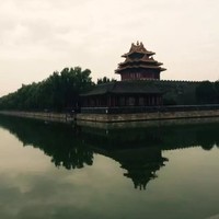武庆东