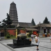 秦丽洁