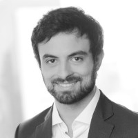 Henrique Contarelli Lamonica
