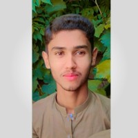 Ali Hassan Developer