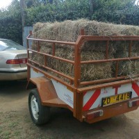 JOSEPH MUNENE KARUBU