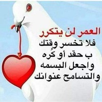 الباشق الكاسر