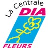 La Centrale Dia Fleurs