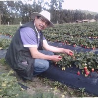 Ramiro mesa chaparro