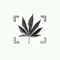 毛小倩