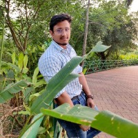 Rajdeep Karar