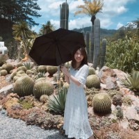 Kim Anh Truong