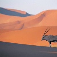 Mohamed Albannay
