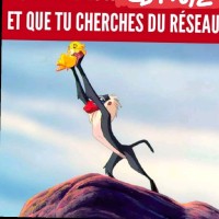 Julie Renard