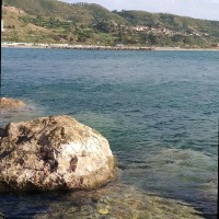 Sidali Ferdjani