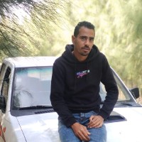 Tarek Mohamed