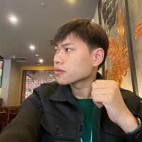 Duc Anh Pham