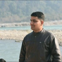 NARAYAN PAREEK