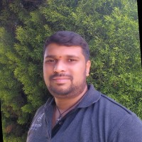 Vikas juny