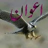 Awan Shehzad