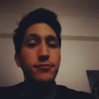 Mauro Palgi
