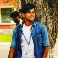 Vijesh Kumar V