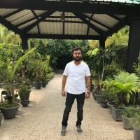 Krishna Dutta