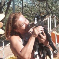 Heidy Melo
