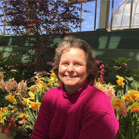 Julie Robichaud