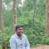 Beesapu Narendra Kumar