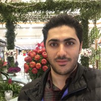 Mehdi Ameli
