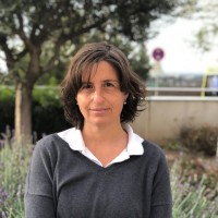 Rosa Bou