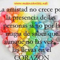 Rugel Mora