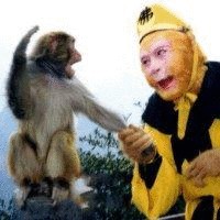 徐小桃