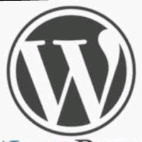 Wordpress Expert
