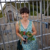 Shirley Downey