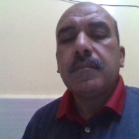 mohamed henidy