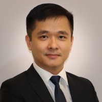 Hong Viet Nguyen