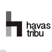Analytics Havas Tribu