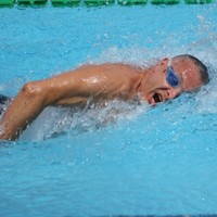 marco panicucci