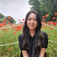 Kim Anh Lam
