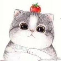 赵志飞