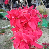 Divya Neeti Neeti
