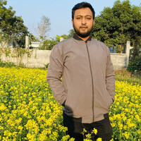 Hassan Ifran
