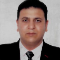 Ahmed Hamzawy