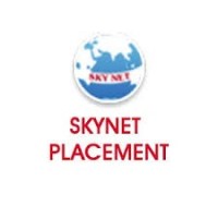 Skynet Team