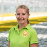 Adeline Labour Post