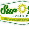 SURNUT S.A SURNUT