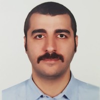 Mohammad Mirzaaghaei