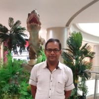 Ramakrishna Avula