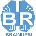 BRAINUPAI Inc