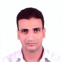 Wael Waheed