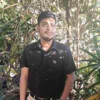 Rohil Pandey