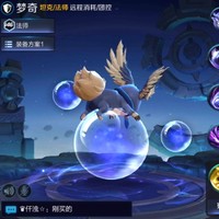 陈志瑞